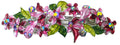 Bella Crystal Flower Barrette Metal French Clip Hair Clip  #YY86800-1